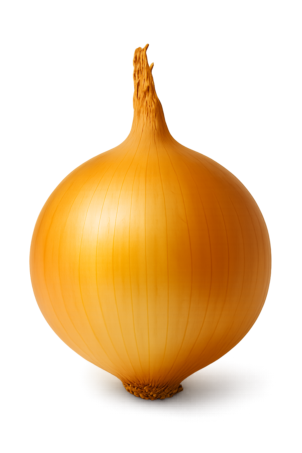 Golden Onion