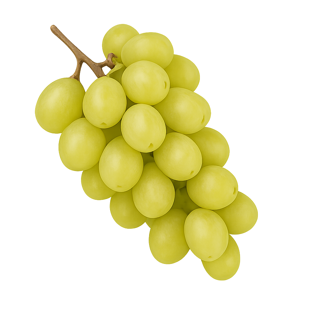 Navel Orange